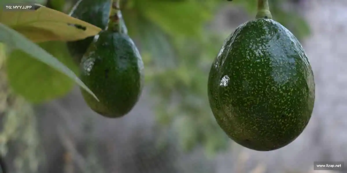 米兰milan💪汗水铸就热爱,这里是属于你的活力舞台!